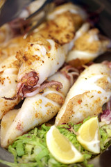 Calamari Ripieni