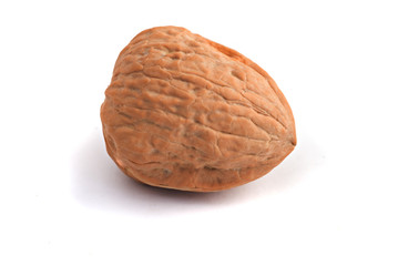 Walnut on white background