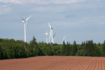 Windmills