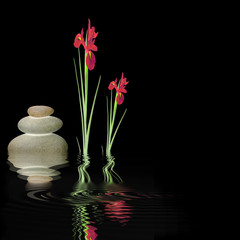 Zen Silence