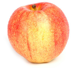 apple on white