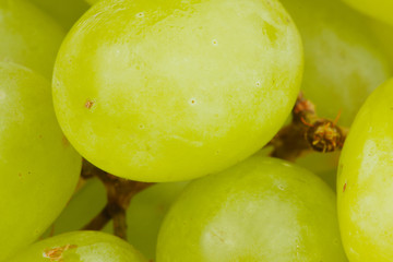 grapes