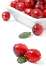 preiselbeeren