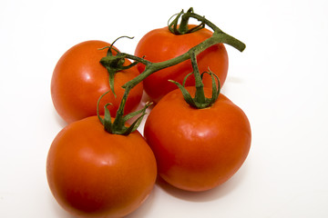 Tomatoes on Vines