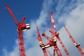 tower cranes