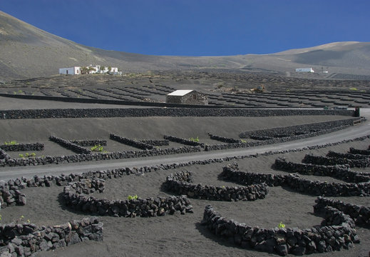 cultures et volcans de lanzarotte