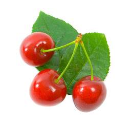 Three Ripe Red Cherries