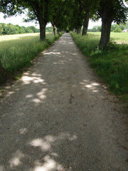 Fototapeta premium Schatten und Licht