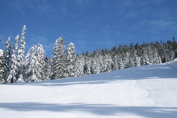 Whistler - Canada - slope