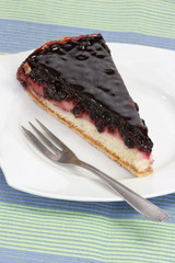 Heidelbeerkuchen