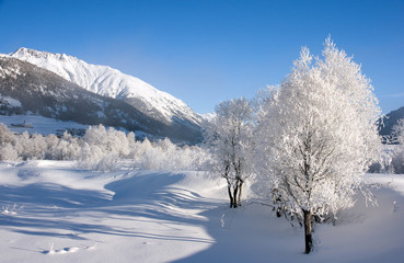 Wintertraum 9