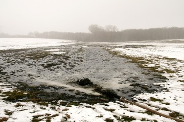 natur