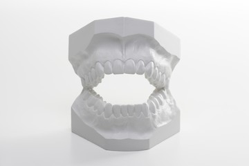 Front view on a white denture model , made of hard plaster.