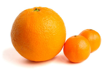 Orange and mandarins isolated on white background