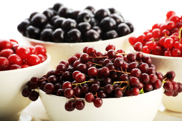 red currant
