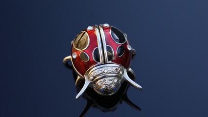 Jeweled ladybird