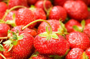 Lots of strawberries arranged as the background