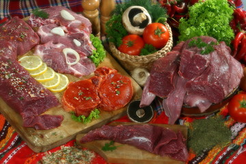 fleisch15