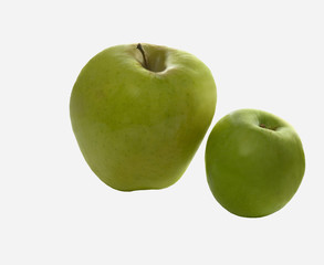 THE GREEN COMPETITION