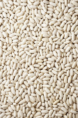 Close up of white bean