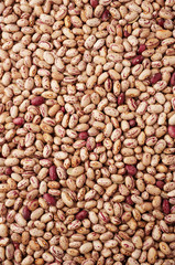 Close up of brown bean