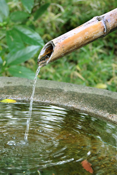 Bamboo Fountain