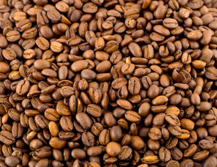 coffee beans