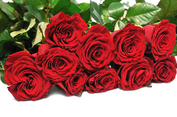 big bouquet red roses