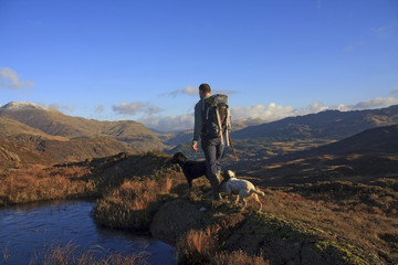 Views around Beddgelert