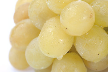 White grapes