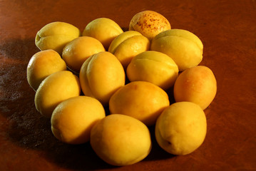 Apricot