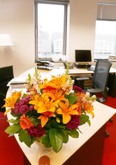 director's room