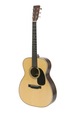 Steel-string Acoustic Guitar