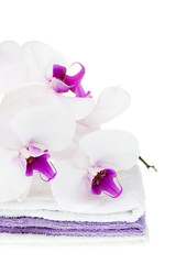 Obraz na płótnie Canvas White orchid on towels