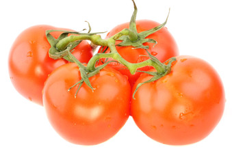 Appetizing tomatoes on a branch over white