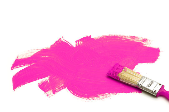 paintbrush and violet color on white background