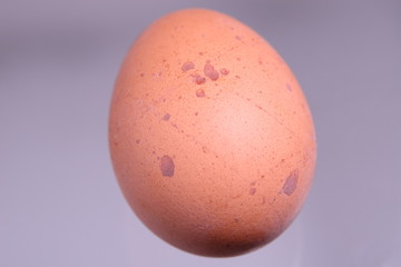 egg