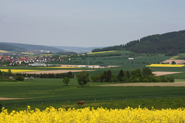 Landleben im Weserbergland
