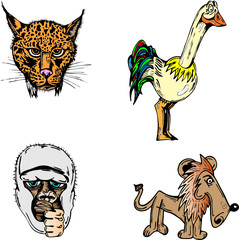 Gepard, monkey, lion and a bird in vector illustration © Tom Prokop