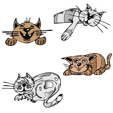 Four colored vector cats in different positions