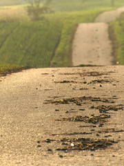 Feldweg