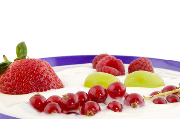 yogurt with fruit