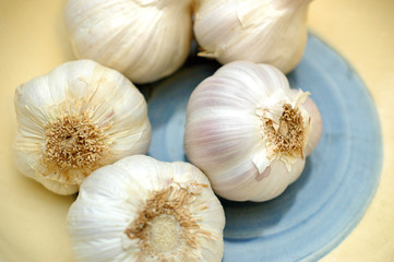 Koblauch