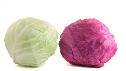 Red and common cabbages isolated on white background