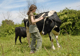 jeune fille et sa vache