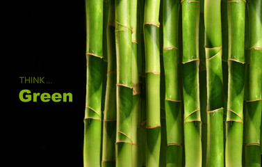 Fototapeta premium Pędy bambusa ułożone w rzędzie na czarno