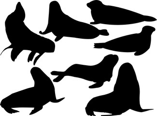 seals collection silhouette - vector