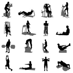 fitness vector