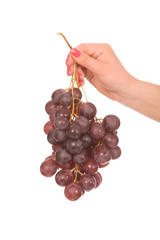 hand with grape