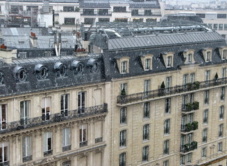 Fototapeta na wymiar Paris sous la neige. Snow in Paris. France.